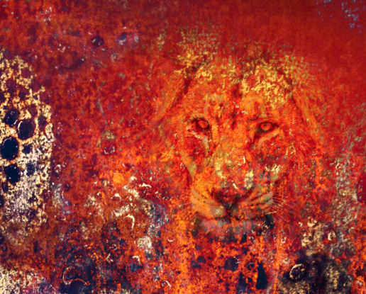 Modern vibrantly coloured image of a person looking through a fire to see a lion