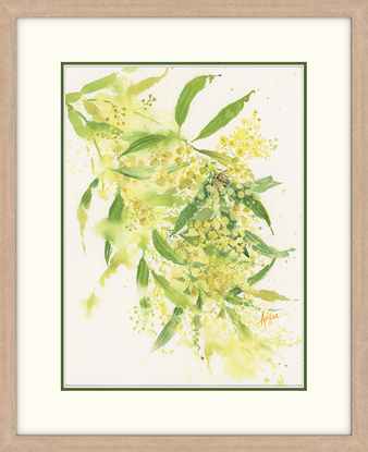 Watercolour painting of a spray of wattle with a bee.