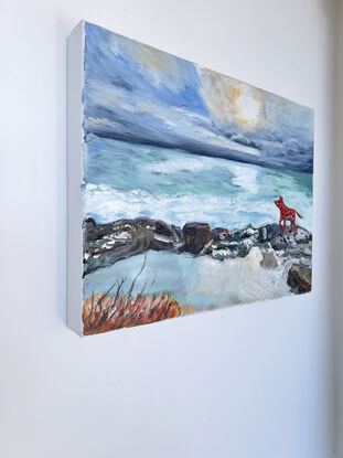 A red spotty dog enjoys  the wind as she explores the sea rocks