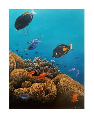 Marine fish with orange coral and aqua water