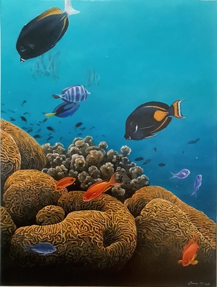 Marine fish with orange coral and aqua water