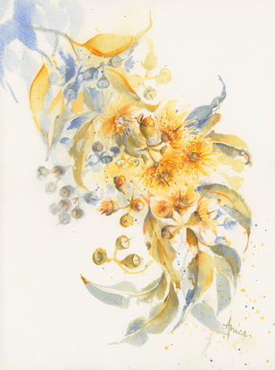 Watercolour painting of golden gum blossoms and bluish leaves