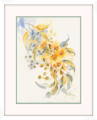 Watercolour painting of golden gum blossoms and bluish leaves