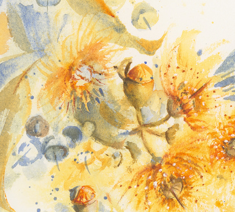 Watercolour painting of golden gum blossoms and bluish leaves