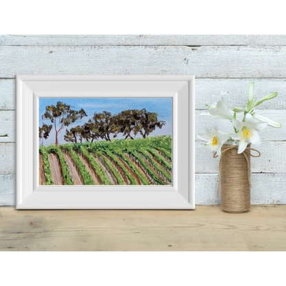 Grape vines of a vineyard follow the contours of a hilly landscape in bright green along fences. Beyond the ridgeline of the hill a number of large native eucalyptus trees are visible agains the blue cloudless sky.