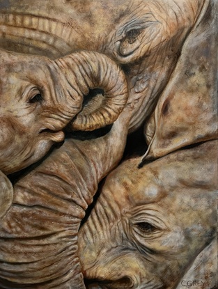 Close up scene of an elephant with two small elephants