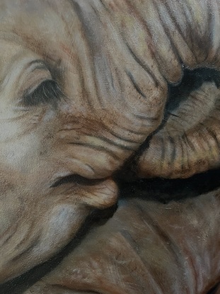 Close up scene of an elephant with two small elephants