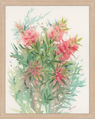 Watercolour painting of crimson bottlebrush