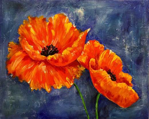 Bright coloured Poppies .