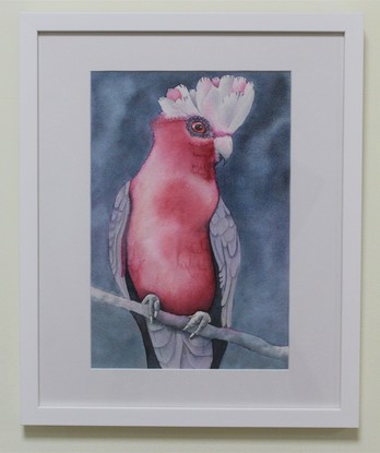 The pink Galah in the forefront on a branch with a tropical grey storm in the background.