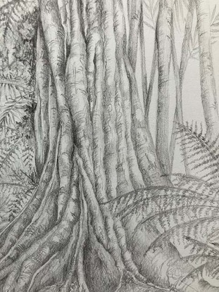 Rainforest, detail, pencil drawing. 