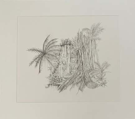 Rainforest, detail, pencil drawing. 