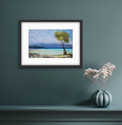 Mangrove tree on rocky sandy beach