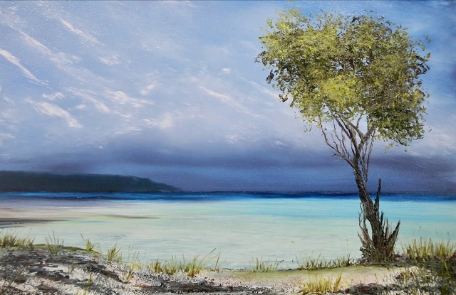 Mangrove tree on rocky sandy beach