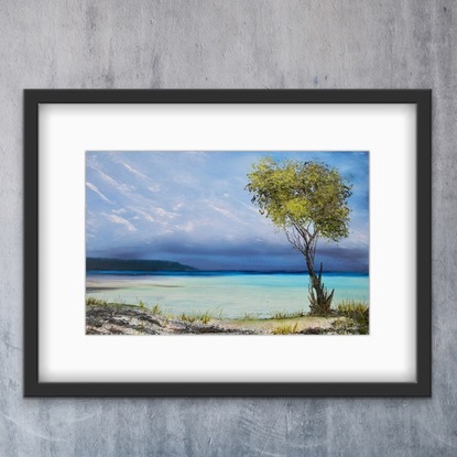 Mangrove tree on rocky sandy beach