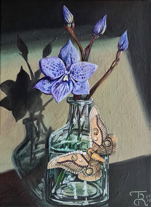 Flower in a glass vase with a moth.