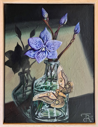 Flower in a glass vase with a moth.