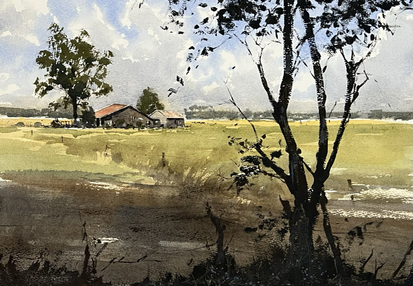 A farm house and a big tree in the distance and a silhouette of tree branches and scrub in the forground.