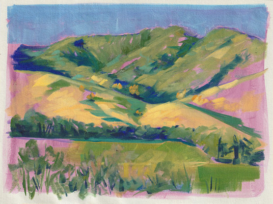 This painting depicts the western fall  foothills of the Great Dividing Range in NSW, Australia. Painted in an en pleine air style, quickly laying down thicker oils over a magenta oil wash ground.