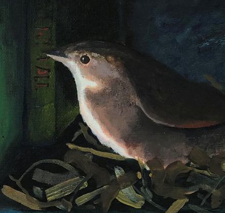 Small nesting bird surrounded by books.