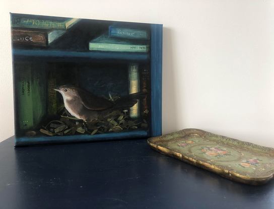 Small nesting bird surrounded by books.