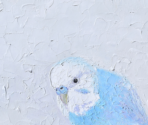 A thickly textured painting of a blue budgerigar bird on a soft grey background.