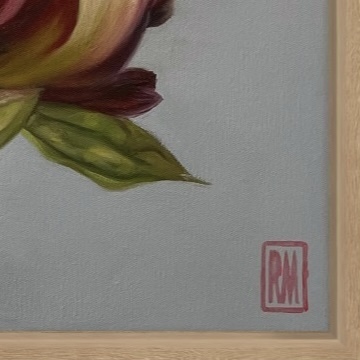 A square canvas frames a large, single peony bloom.  It is coloured in shades of blush, pink, white and crimson with a strong greenish-red stem and leaves.  The background is a bluish/purple grey.