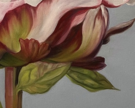 A square canvas frames a large, single peony bloom.  It is coloured in shades of blush, pink, white and crimson with a strong greenish-red stem and leaves.  The background is a bluish/purple grey.