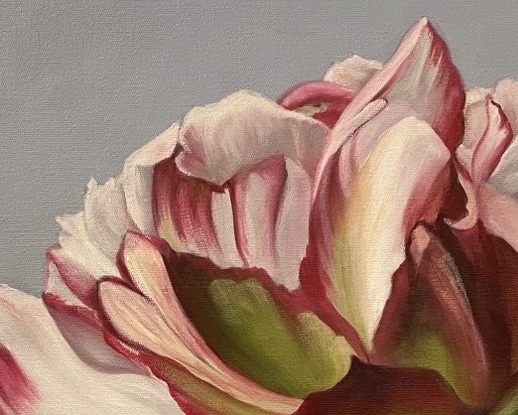 A square canvas frames a large, single peony bloom.  It is coloured in shades of blush, pink, white and crimson with a strong greenish-red stem and leaves.  The background is a bluish/purple grey.