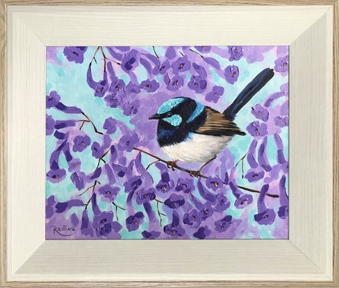 Superb Fairy-wren on a blooming jacaranda tree branch original painting by Irina Redine, framed and ready to hang