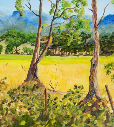 a painting of a field of golden pastures interspersed with shrubs and gum trees with the rugged cliffs in the background, with undulating slopes and a rugged fence line in the midst with cows going about their  daily routine looking for something to munch on.