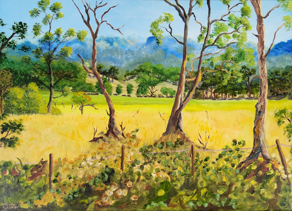 a painting of a field of golden pastures interspersed with shrubs and gum trees with the rugged cliffs in the background, with undulating slopes and a rugged fence line in the midst with cows going about their  daily routine looking for something to munch on.