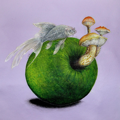 composition of fish, mushrooms, and apple in surrealistic space.