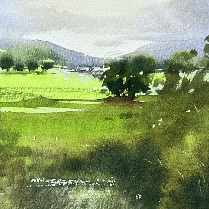 A farm scene, early morning light illuminating the fields in the distance with the silhouette of a large tree near a creek in the forground.