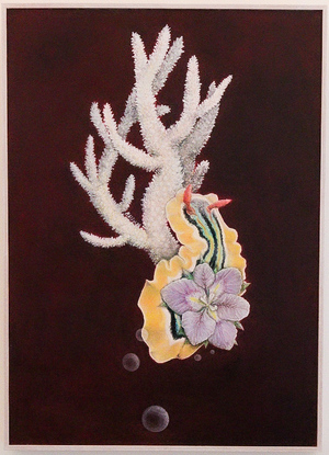 This composition is about: a sea slug , a flower and corals merging together with a dark surrounding.