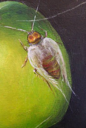 This composition shows surrealistic insects flying around a green apple with a dramatic background.