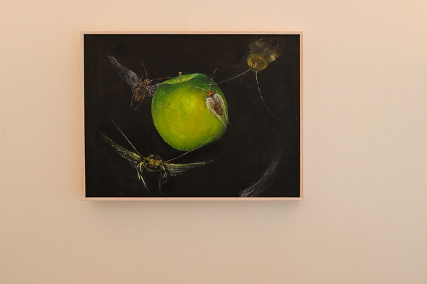 This composition shows surrealistic insects flying around a green apple with a dramatic background.