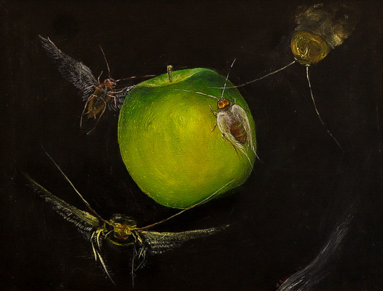 This composition shows surrealistic insects flying around a green apple with a dramatic background.