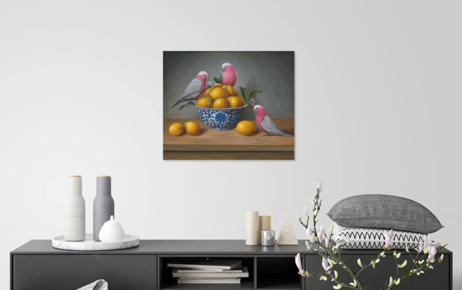 Three rosellas and apples