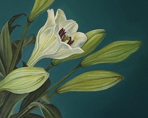 A square canvas frames a large bunch of white lilies which sit in a white jug on a white table.  Lit from above, bluish shadows fan out on the table below.  The background is painted in a strong peacock blue.