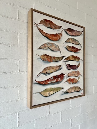 Two vertical rows of decaying gum leaves on a white background 