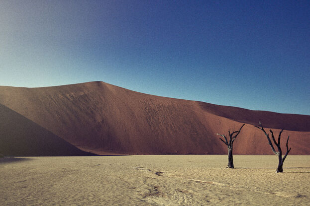 
Dead Vlei near Sossusvlei in the the world famous dunes area of Namibia. In English Dead Vlei means Dead Marsh. Available in other sizes.
