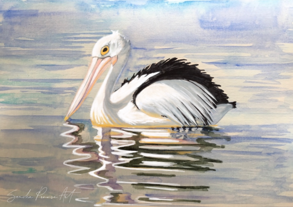 Fine Art Giclee Print of Sancha's original artwork of a pelican on water