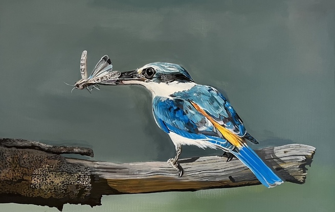 Red backed kingfisher, acrylic on canvas 61 cm by 91.4 cm