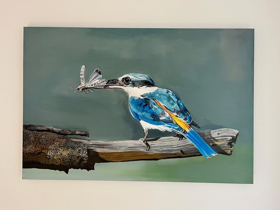 Red backed kingfisher, acrylic on canvas 61 cm by 91.4 cm