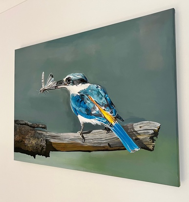 Red backed kingfisher, acrylic on canvas 61 cm by 91.4 cm