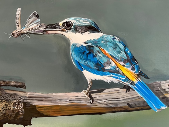 Red backed kingfisher, acrylic on canvas 61 cm by 91.4 cm