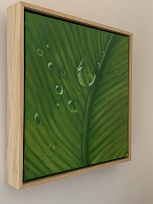 water droplets and veins in macro focus show on a fern frond