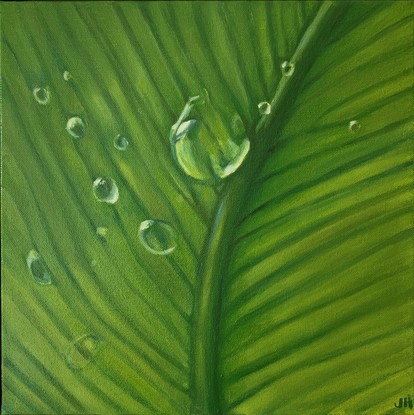 water droplets and veins in macro focus show on a fern frond