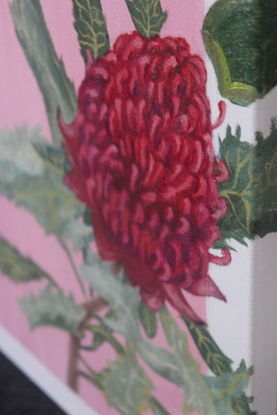 Waratahs and proteas on a pale pink background